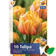 Tulipanløg Freeman / Dobbet Tulipan - 10 Løg