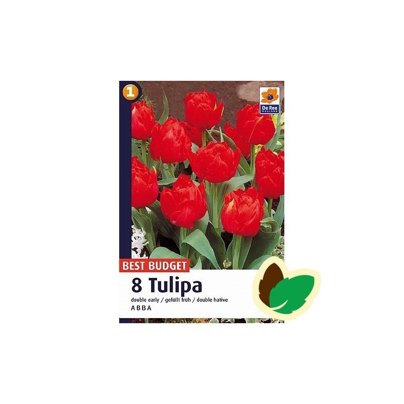 Tulipanløg Abba / Dobbelt Tulipan - 10 Løg