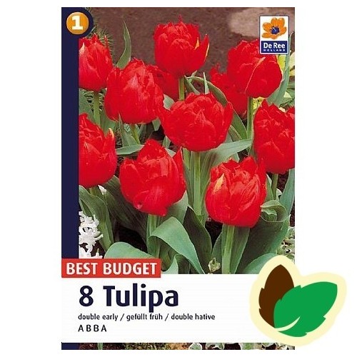 Tulipanløg Abba / Dobbelt Tulipan - 10 Løg