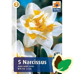 Påskeliljeløg White Lion - Narcissus 5 Løg