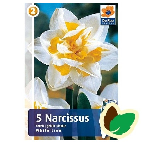 Påskeliljeløg White Lion - Narcissus 5 Løg