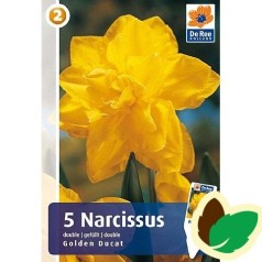 Påskeliljeløg Golden Ducat - Narcissus 5 Løg