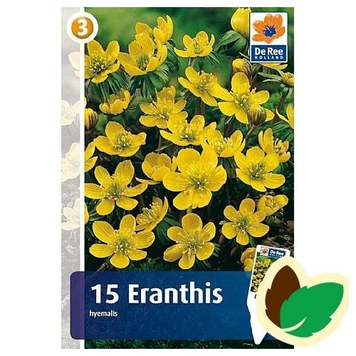 Erantis - Eranthis Hyemalis - 15 løg