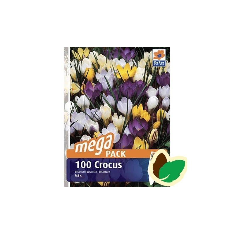 Krokusløg Botanisk mix - Crocus / 100 Løg