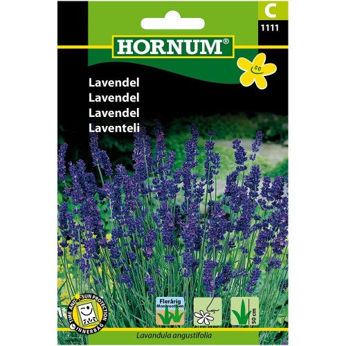 Lavendel Frø