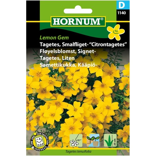 Tagetes Citrontagetes Lemon Gem - frø