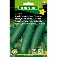 Agurkefrø Moneta - Salat/Sylteagurk - Frilandsagurk