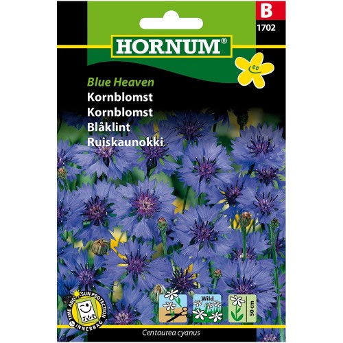 Kornblomst Frø - Blue Heaven