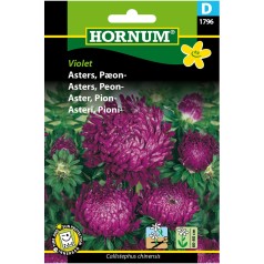 Asters Frø - Pæonasters Violet