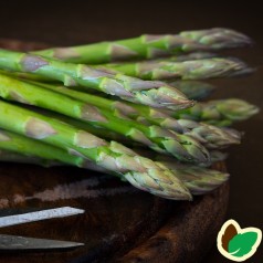 10 stk. Asparges planter 'Gijnlim' barrodsplanter