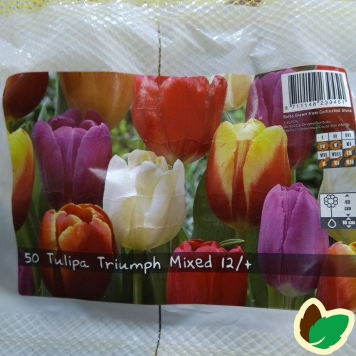 Tulipanløg - Blanding Triumph MIX - 50 Løg