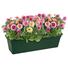 Altankasse 50cm Grøn