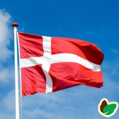 Dannebrog Flag