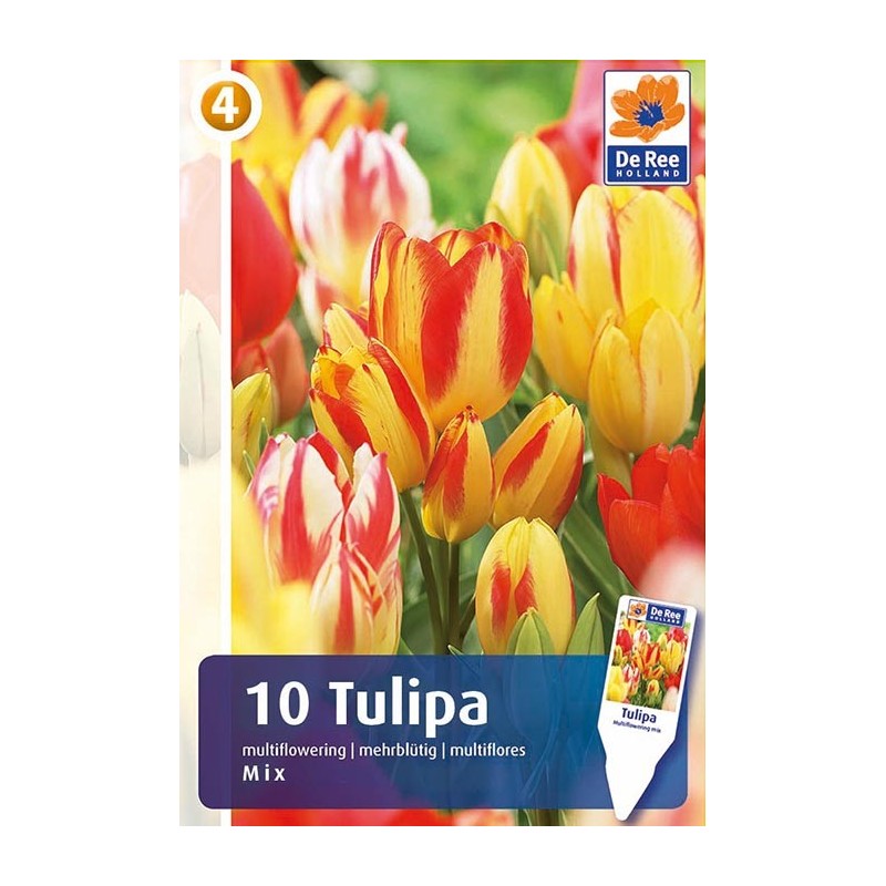 Tulipanløg - Multiflowering mix - 10 Løg