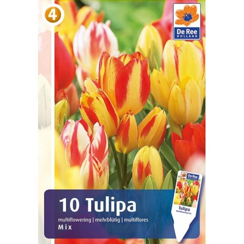 Tulipanløg - Multiflowering mix - 10 Løg