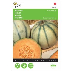 Cantaloup melon frø