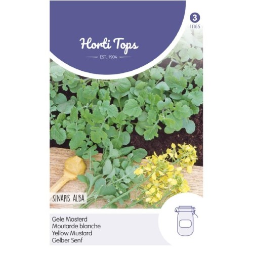 Gul sennep frø - Horti Tops