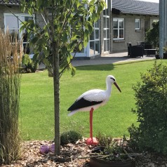 Stork - Naturlig størrelse