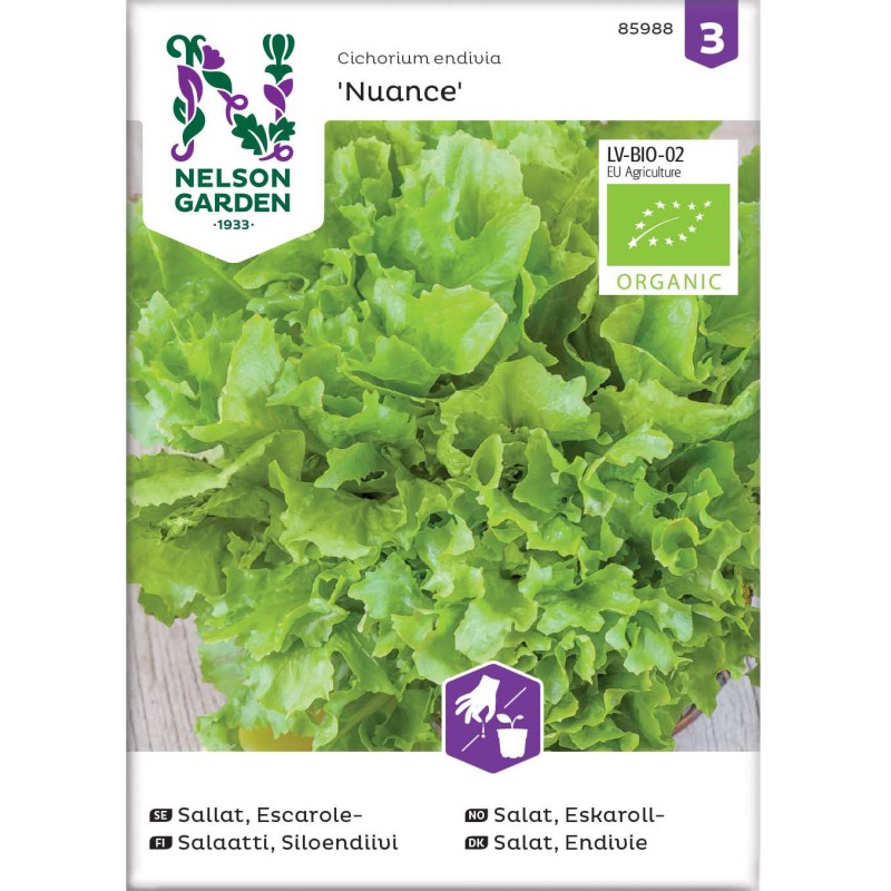 Økologisk Endivie- Salat Frø Økologisk Endivie- Salat Frø