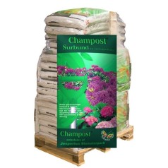 Champost Surbund