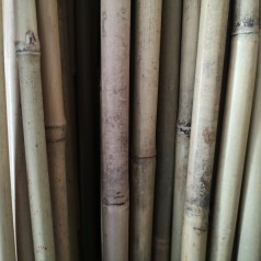 5 stk. Bambuspinde 150 cm.