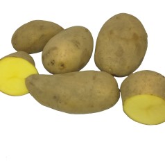 Annabelle Læggekartofler - 2 Kg.