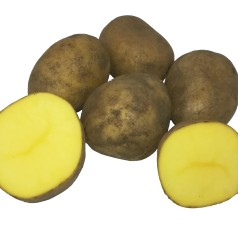 Belana Læggekartofler - 2 Kg.