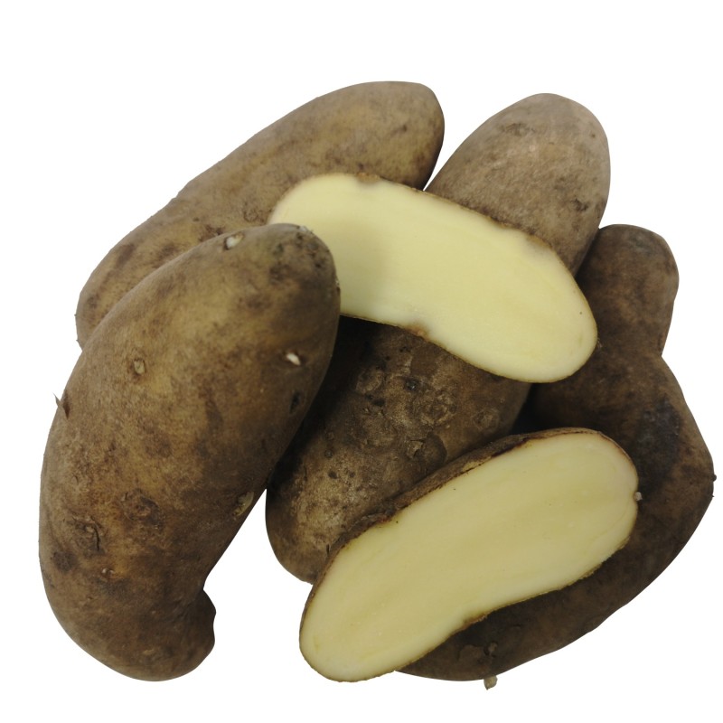Asparges Læggekartofler - 2 Kg. Asparges Læggekartofler - 2 Kg.