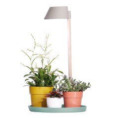Elho Grolys 'Plant Light'