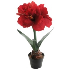 Amaryllis Rød - Kunstig potteplante