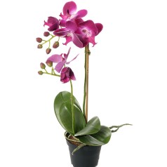 Orkide - Lilla - Kunstig potteplante