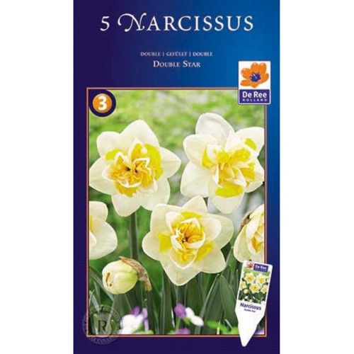 Påskeliljeløg Double Star - Narcissus  / 5 Løg