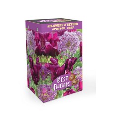 Blomsterløg blanding - Velvet Temptation - 16 løg