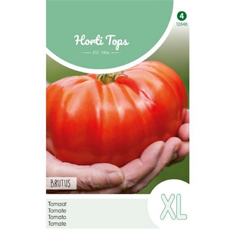 Tomatfrø, Brutus - Horti Tops