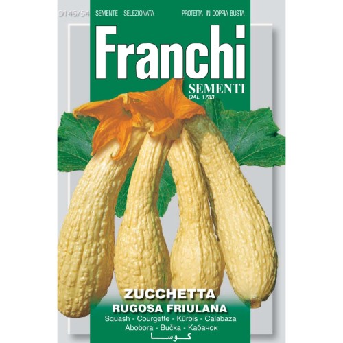 Squashfrø, Rugosa Friulana - Franchi