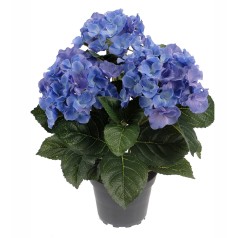 Kunstig hortensia 30 cm. blå