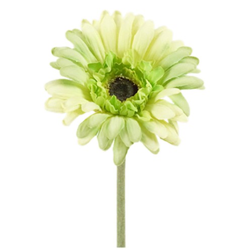 Kunstig gerbera stilk 55 cm. ø10 cm. lime