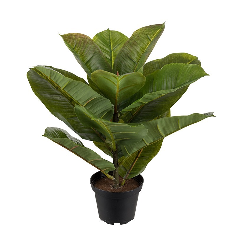 Kunstig Ficus robusta 30 cm.