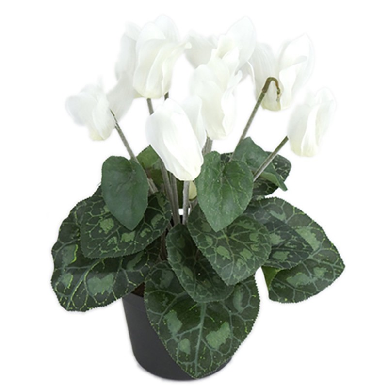 Alpeviol - Hvid - Kunstig Potteplante