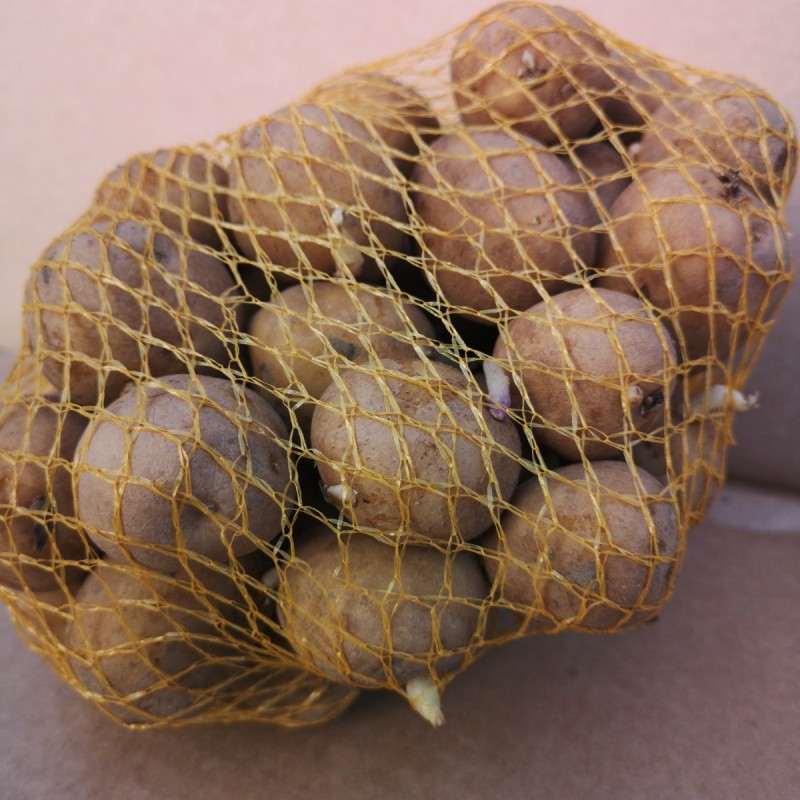 Dore Læggekartofler - 1 Kg. - Meget tidlig