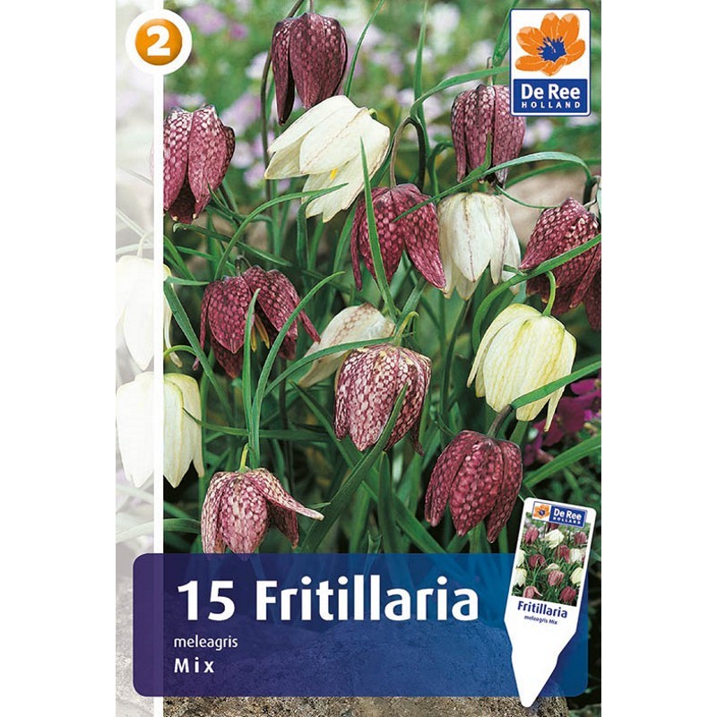 Vibeæg mix - Fritillaria meleagris, Master 15 Løg