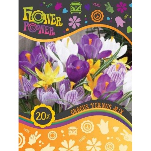 Krokusløg mix - 20 Løg - FlowerPower