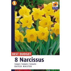 Påskeliljeløg Dutch Master - Narcissus / 8 Løg