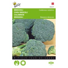 Broccoli frø, Calabrese natalino - Buzzy