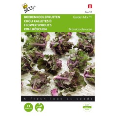 Flower sprouts frø, Kalettes® Garden Mix F1 - Buzzy