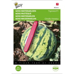 Mini vandmelon frø, Tigrimini F1 - Buzzy