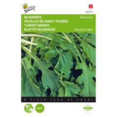 Majroe bladgrønt frø, Namenia - Buzzy