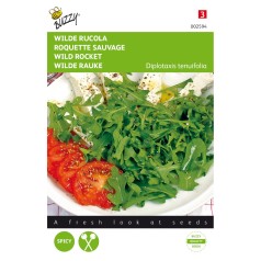 Vild rucola frø...