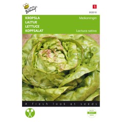 Hovedsalat frø, Meikoningin...