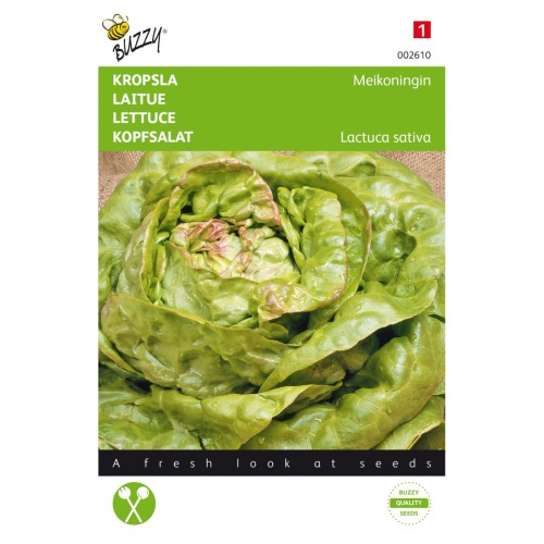 Hovedsalat frø, Meikoningin - Buzzy